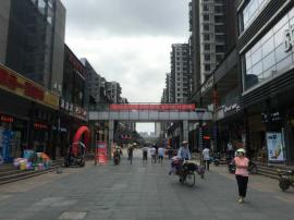 黄家湖大学城东澜岸正商业街岔路口低租金万...