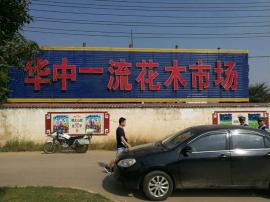 汉口北四季美花木市场核心地段旺铺因事转让