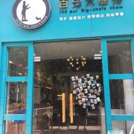 洪山区玫瑰大道100平宠物店低价急转！