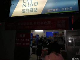 Z光谷步行街康桥小区菜鸟驿站38平带区域...