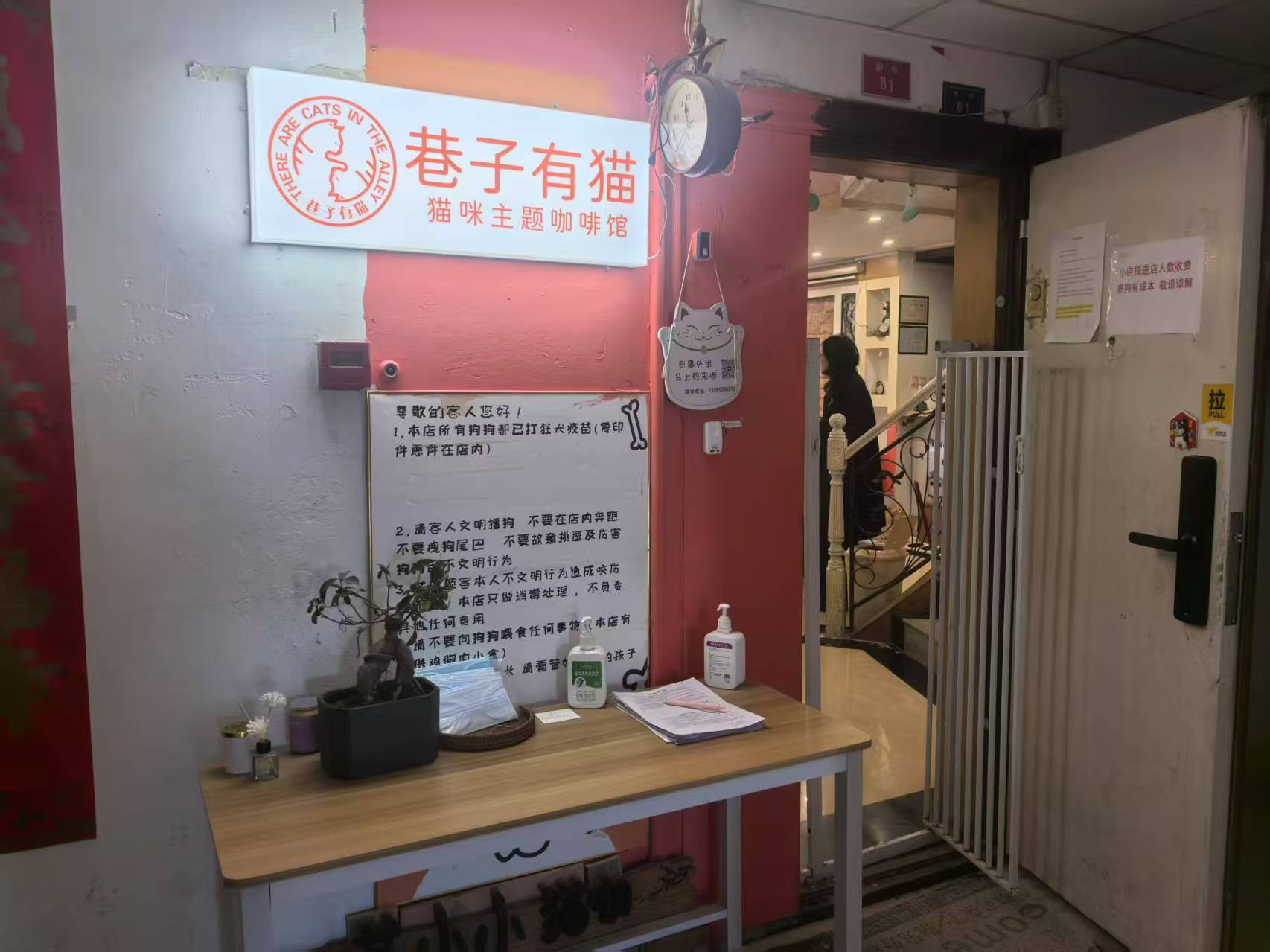 老城区合群路龙泉大厦猫咖转让